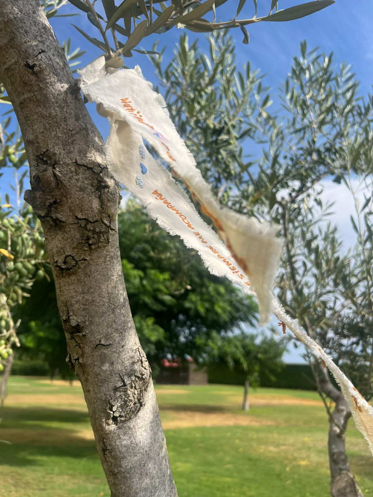 Madrid 💐Borda una cinta de ramo única